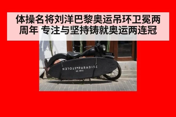 体操名将刘洋巴黎奥运吊环卫冕两周年 专注与坚持铸就奥运两连冠